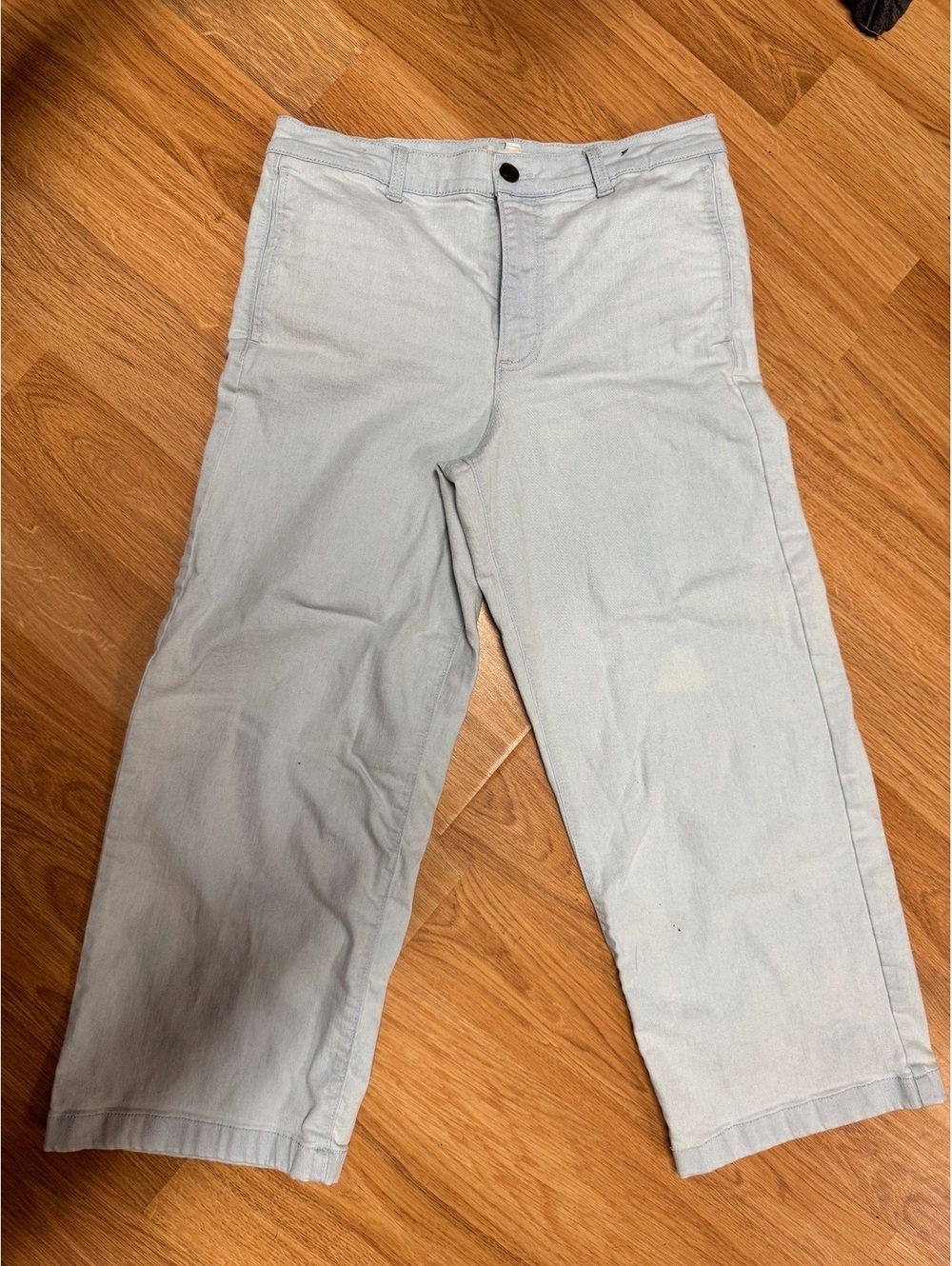 Ella Moss Light Blue Wide Leg Crop Pants Size 10